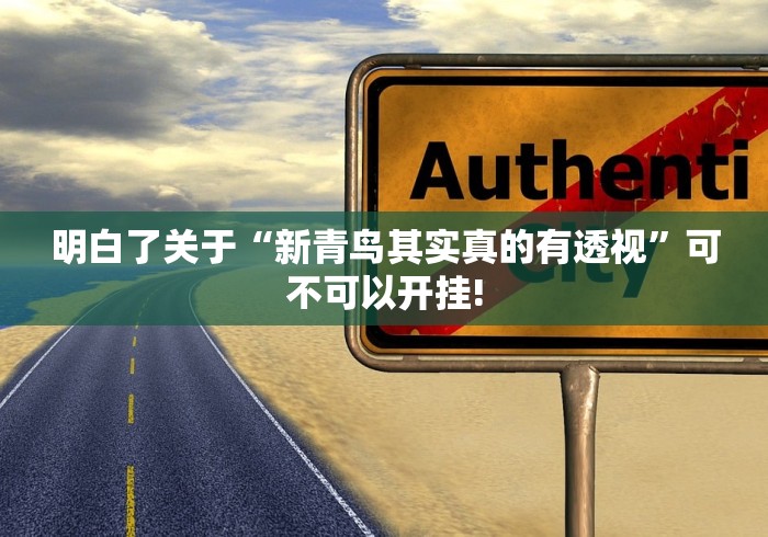 我来告诉大家“廉江麻将有没有透视软件挂”原来有透视挂!