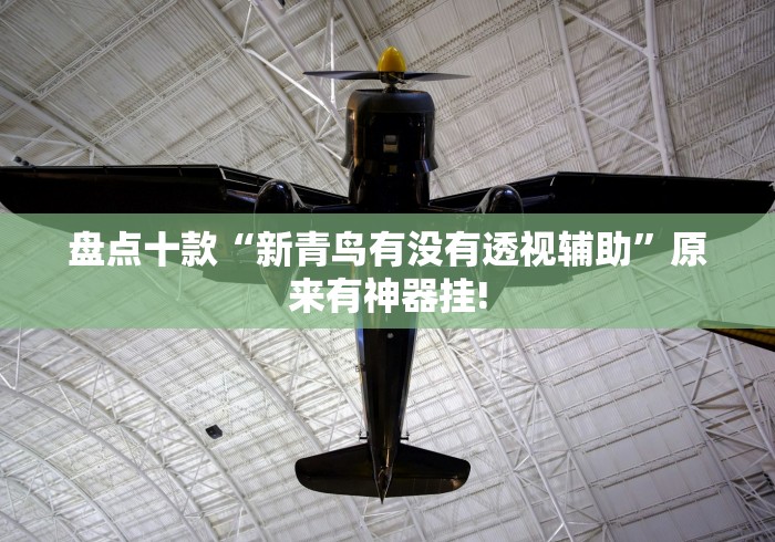 盘点十款“新青鸟有没有透视辅助”原来有神器挂!