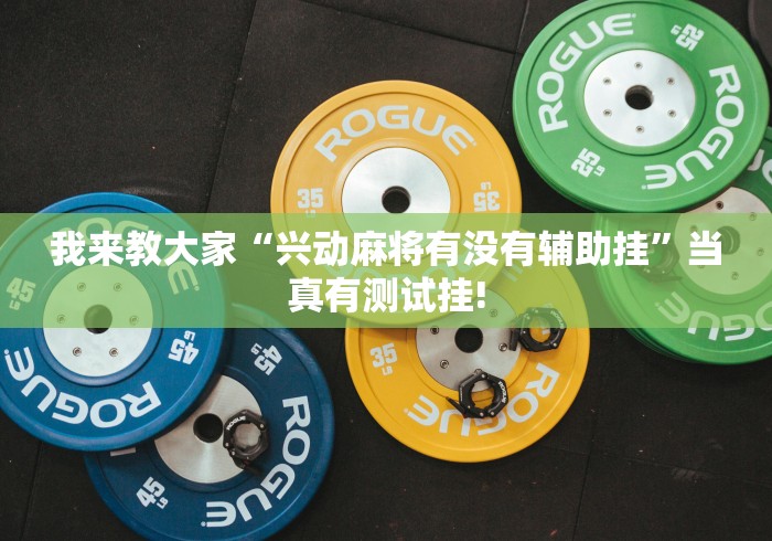 我来教大家“兴动麻将有没有辅助挂”当真有测试挂!