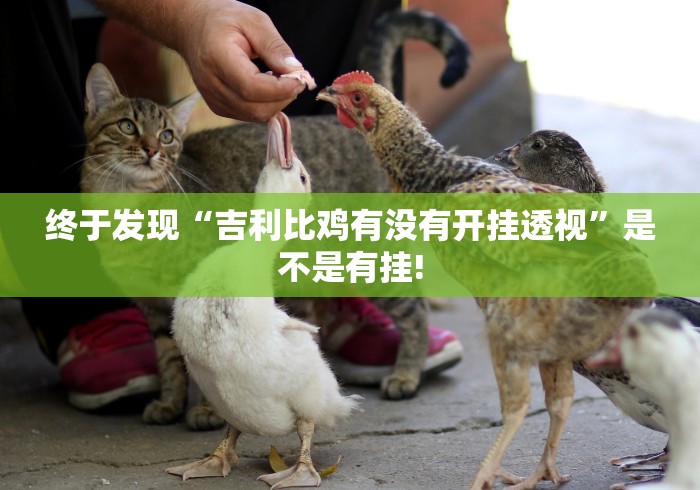 终于发现“吉利比鸡有没有开挂透视”是不是有挂! 终于发现“吉利比鸡有没有开挂透视”是不是有挂!