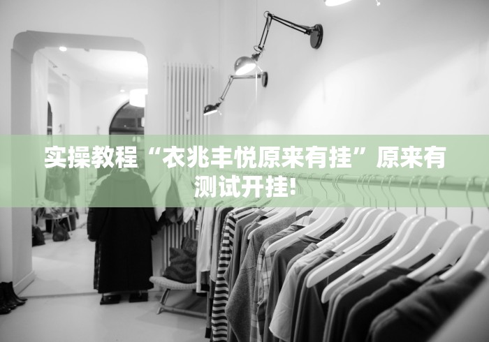 实操教程“衣兆丰悦原来有挂”原来有测试开挂!