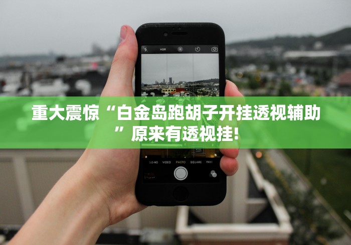 重大震惊“白金岛跑胡子开挂透视辅助”原来有透视挂!