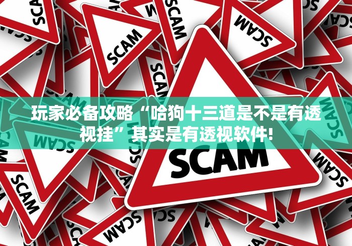 玩家必备攻略“哈狗十三道是不是有透视挂”其实是有透视软件! 玩家必备攻略“哈狗十三道是不是有透视挂”其实是有透视软件!