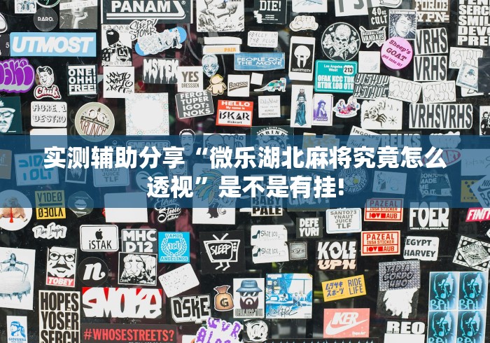 实测辅助分享“微乐湖北麻将究竟怎么透视”是不是有挂! 实测辅助分享“微乐湖北麻将究竟怎么透视”是不是有挂!