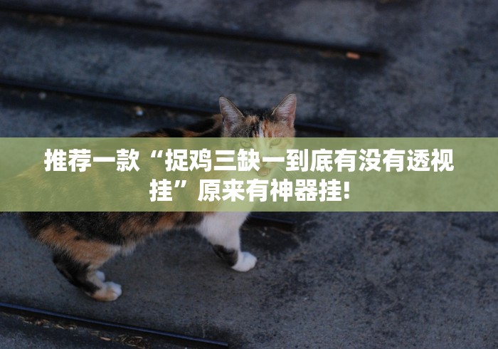 推荐一款“捉鸡三缺一到底有没有透视挂”原来有神器挂!