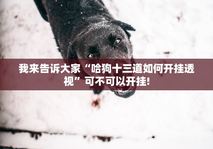 我来告诉大家“哈狗十三道如何开挂透视”可不可以开挂! 我来告诉大家“哈狗十三道如何开挂透视”可不可以开挂!