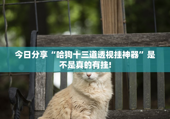 今日分享“哈狗十三道透视挂神器”是不是真的有挂!