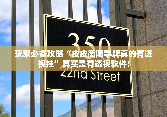 玩家必备攻略“皮皮衡阳字牌真的有透视挂”其实是有透视软件!