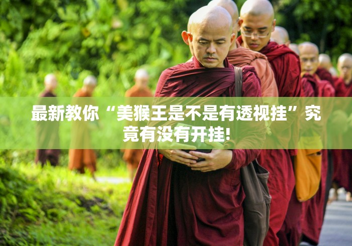 最新教你“美猴王是不是有透视挂”究竟有没有开挂!