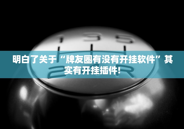 明白了关于“牌友圈有没有开挂软件”其实有开挂插件!