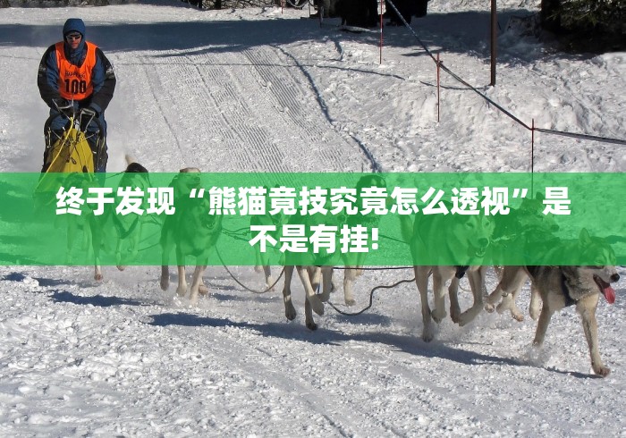 终于发现“熊猫竟技究竟怎么透视”是不是有挂!