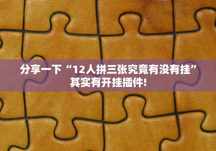 分享一下“12人拼三张究竟有没有挂”其实有开挂插件!