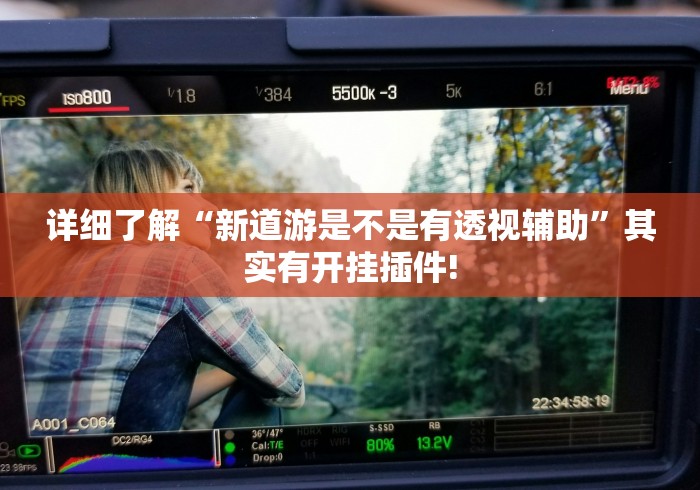 详细了解“新道游是不是有透视辅助”其实有开挂插件!