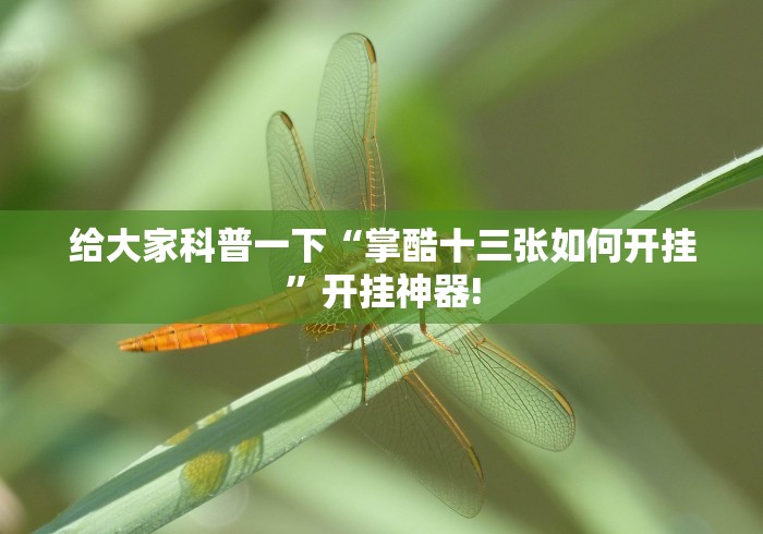 给大家科普一下“掌酷十三张如何开挂”开挂神器!