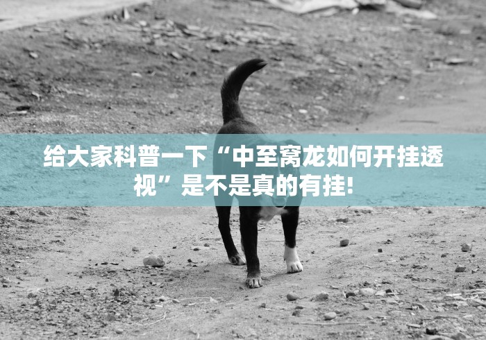 给大家科普一下“中至窝龙如何开挂透视”是不是真的有挂!