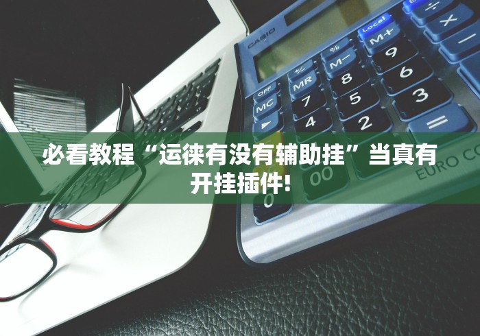 必看教程“运徕有没有辅助挂”当真有开挂插件!