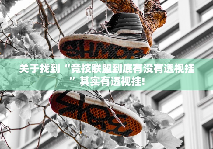 关于找到“竞技联盟到底有没有透视挂”其实有透视挂! 关于找到“竞技联盟到底有没有透视挂”其实有透视挂!