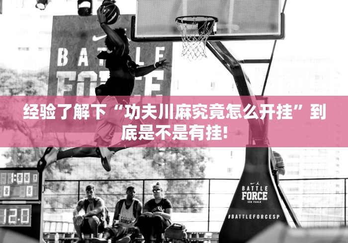 经验了解下“功夫川麻究竟怎么开挂”到底是不是有挂!