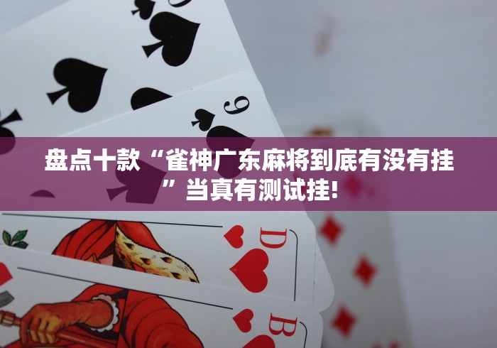 盘点十款“雀神广东麻将到底有没有挂”当真有测试挂!