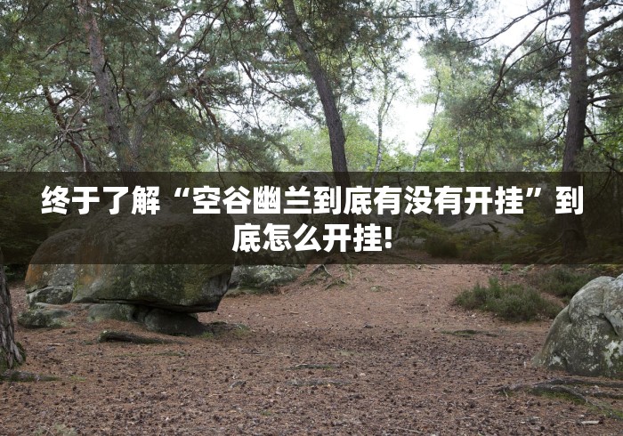 终于了解“空谷幽兰到底有没有开挂”到底怎么开挂!