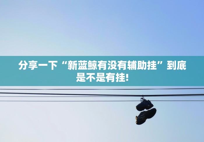 分享一下“新蓝鲸有没有辅助挂”到底是不是有挂! 分享一下“新蓝鲸有没有辅助挂”到底是不是有挂!