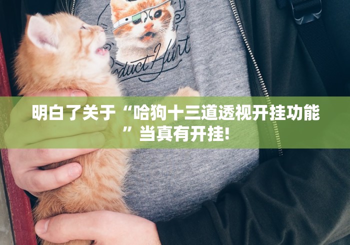 明白了关于“哈狗十三道透视开挂功能”当真有开挂!