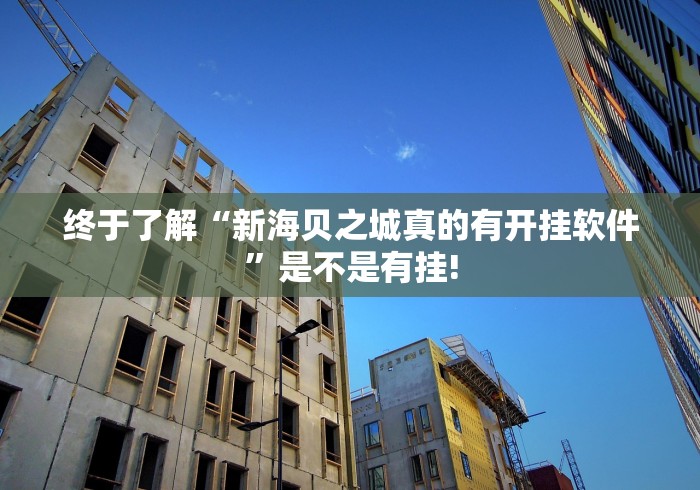 终于了解“新海贝之城真的有开挂软件”是不是有挂!