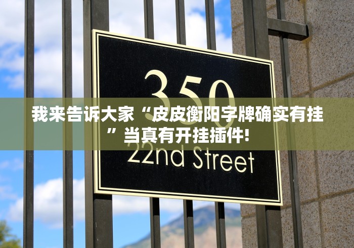 我来告诉大家“皮皮衡阳字牌确实有挂”当真有开挂插件!