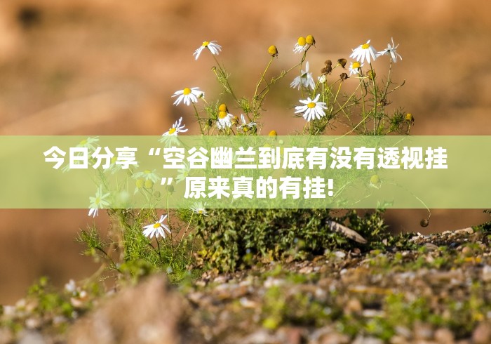 今日分享“空谷幽兰到底有没有透视挂”原来真的有挂! 今日分享“空谷幽兰到底有没有透视挂”原来真的有挂!