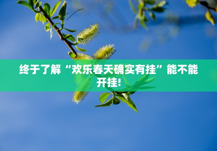 终于了解“欢乐春天确实有挂”能不能开挂! 终于了解“欢乐春天确实有挂”能不能开挂!